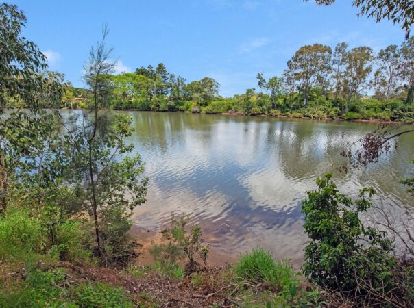 1/12 Rhiannon Drive, Ashmore, Qld 4214 AU