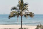 44-50 Eden Avenue, Rainbow Bay, QLD 4225 AU