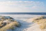 Main Beach, QLD 4217 AU