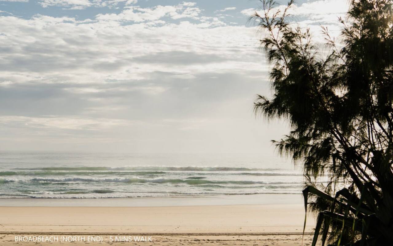 42 Monaco Street, Surfers Paradise, Qld 4217 AU