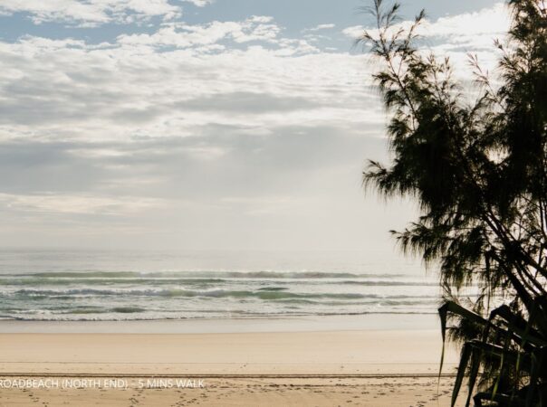 42 Monaco Street, Surfers Paradise, Qld 4217 AU