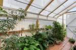 1/2 Anembo Street, Chevron Island, QLD 4217 AUSTRALIA