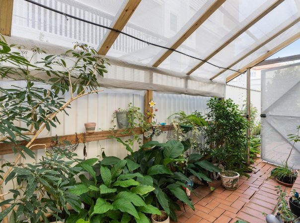 1/2 Anembo Street, Chevron Island, QLD 4217 AUSTRALIA