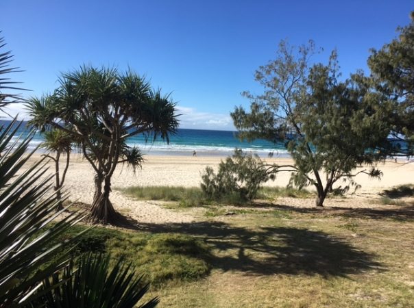 5 & 13/1 The Esplanade, Surfers Paradise, Qld 4217 AU