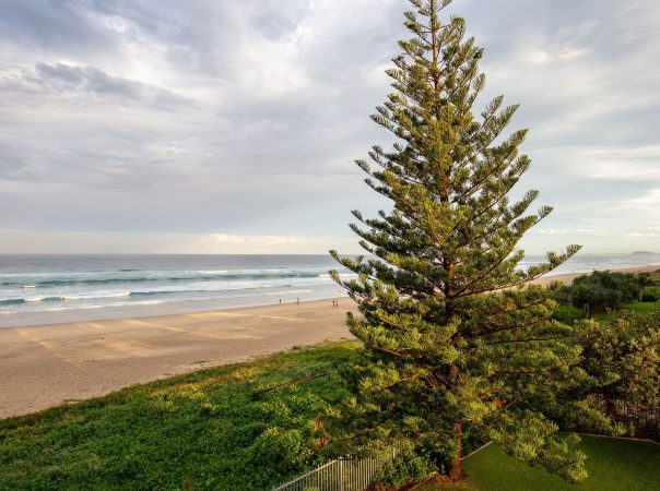 5/3 Garfield Terrace, Surfers Paradise, QLD 4217 AU